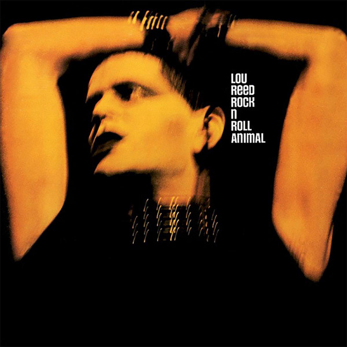 Rock 8217n8217 Roll Animal Vinyl LP
