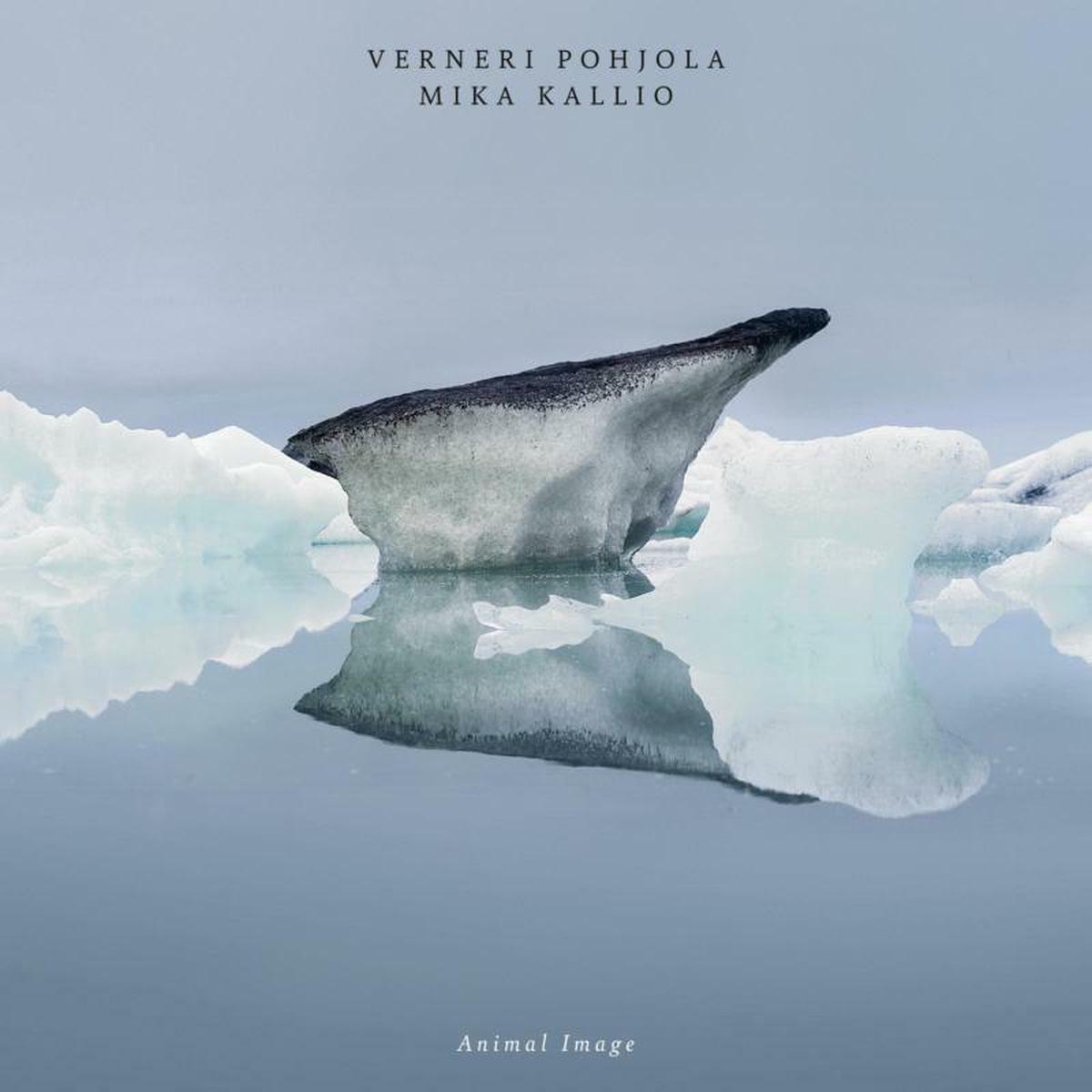 Verneri Pohjola & Mika Kallio - Animal Image (LP)