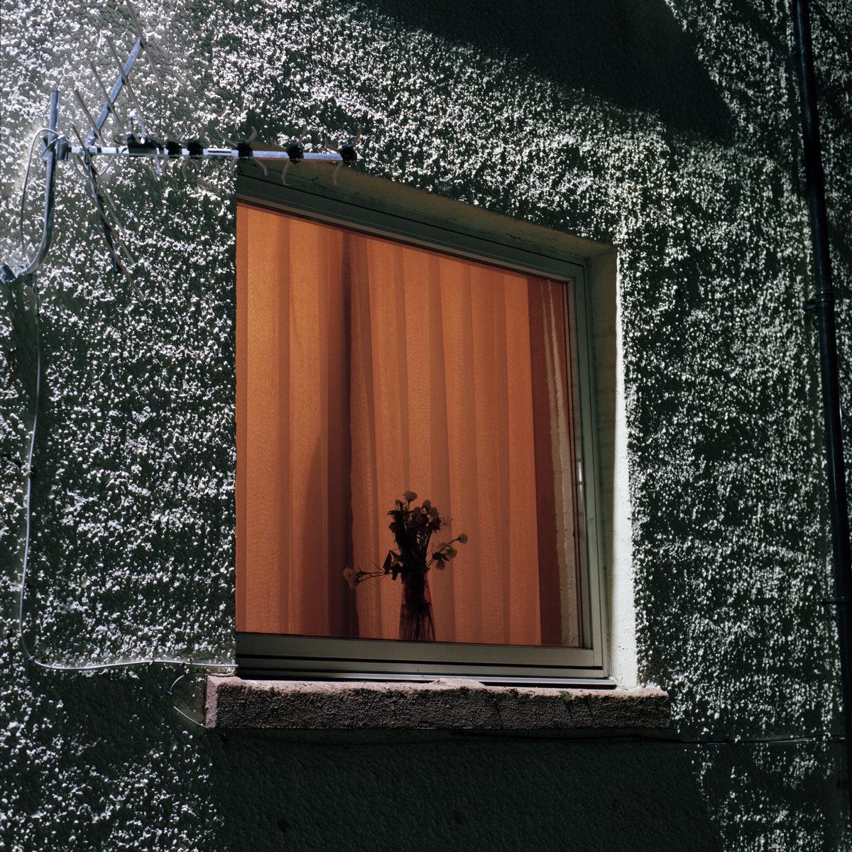 Monthly Friend: Exclusive Random Colour Vinyl LP