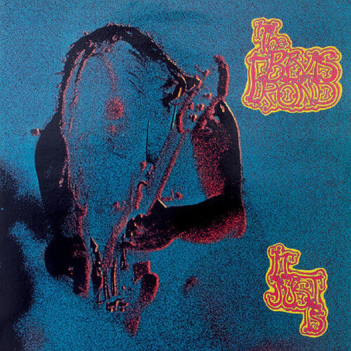 The Bevis Frond: It Just Is - VINYL LP