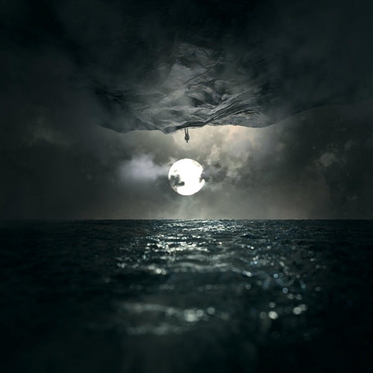 Wooden Veins - In Finitude (LP)
