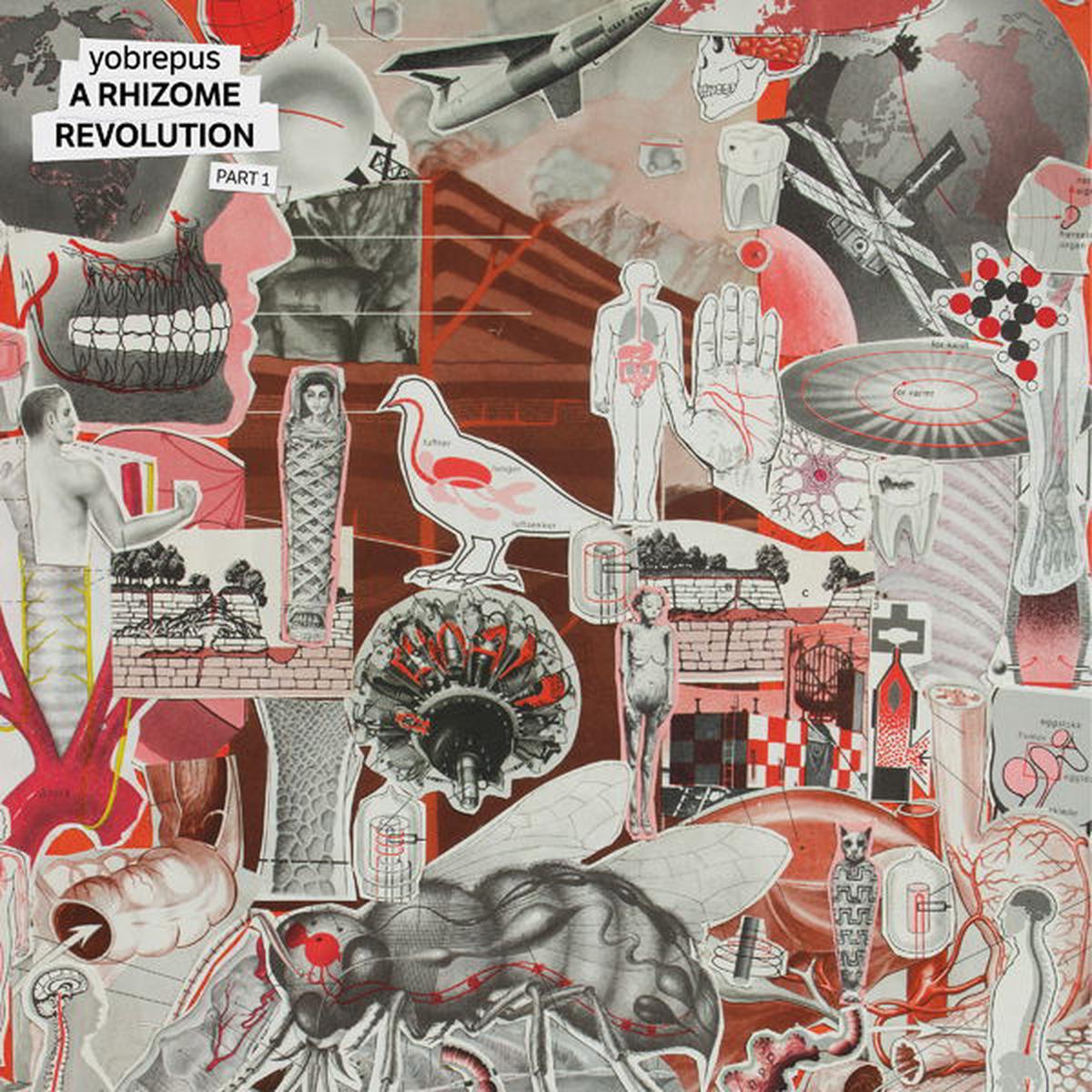 Yobrepus - Yobrepus - a Rhizome Revolution Part 1 (LP)