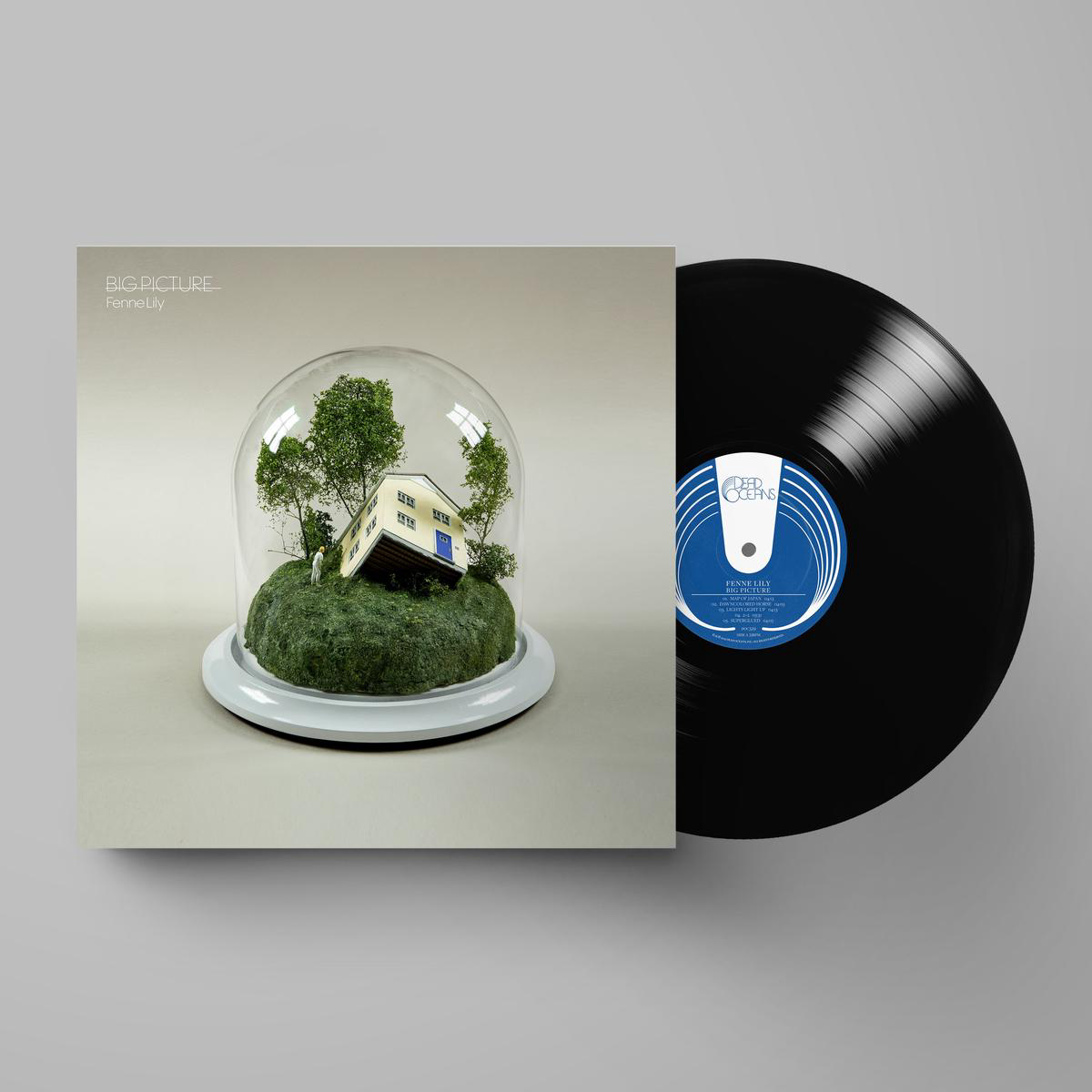 Big Picture Vinyl LP