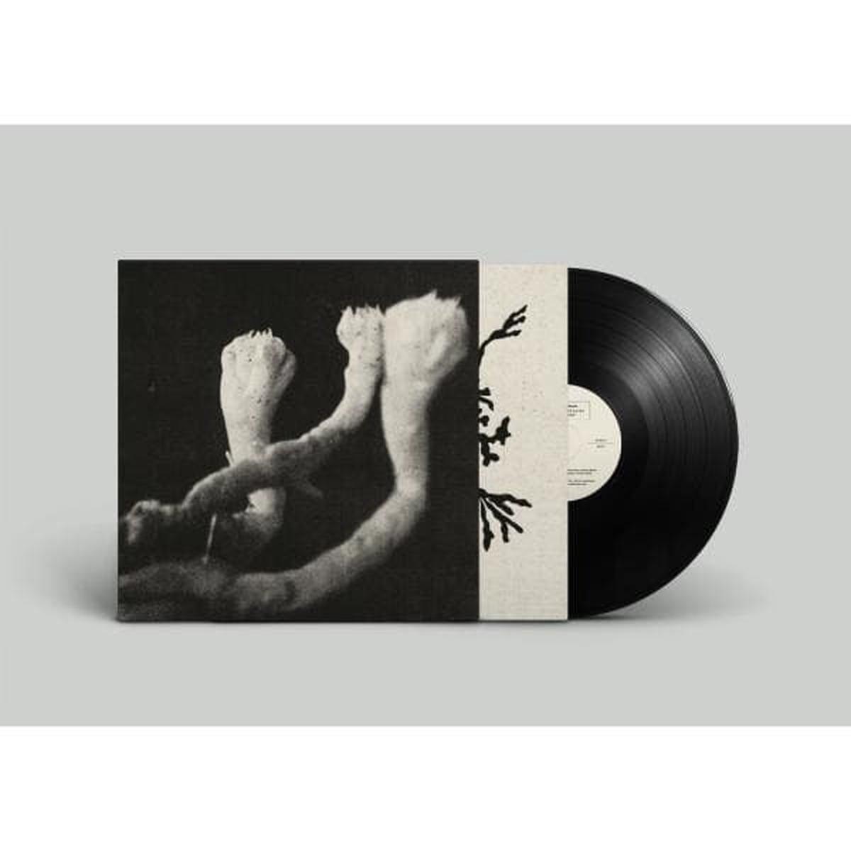 Sophie Agnel - Learning (LP)