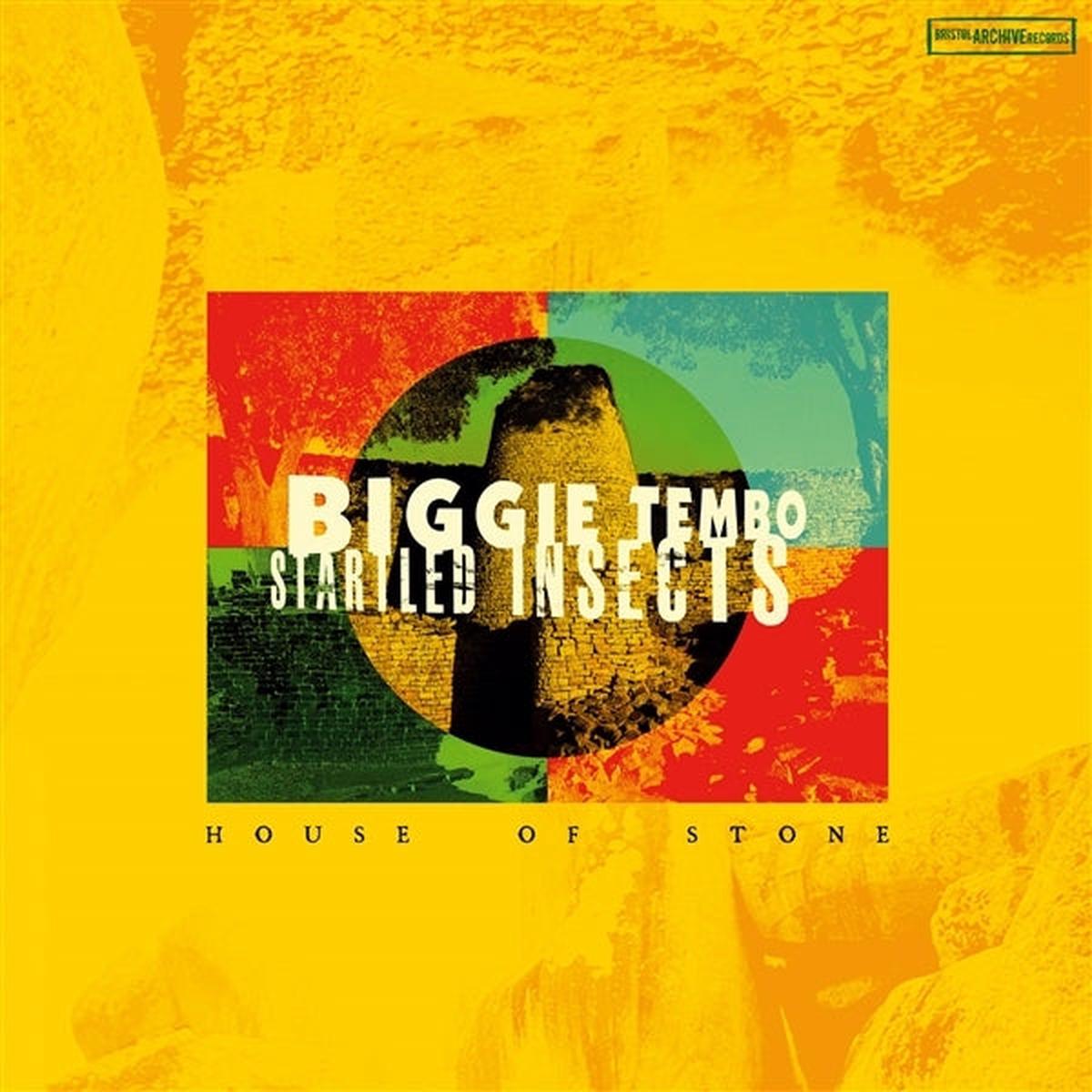 Biggie Tembo & Startled Insects - Biggie Tembo & Startled Insects (LP)