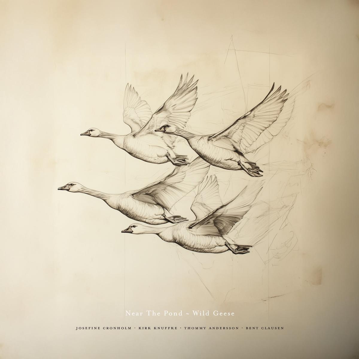 Near The Pond - Wild Geese (LP)
