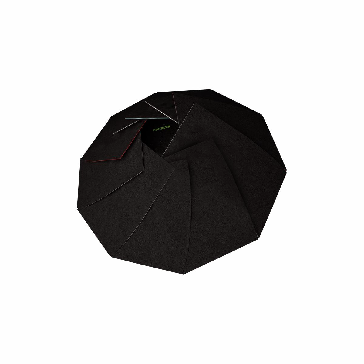 ILYSFM Decagon Vinyl