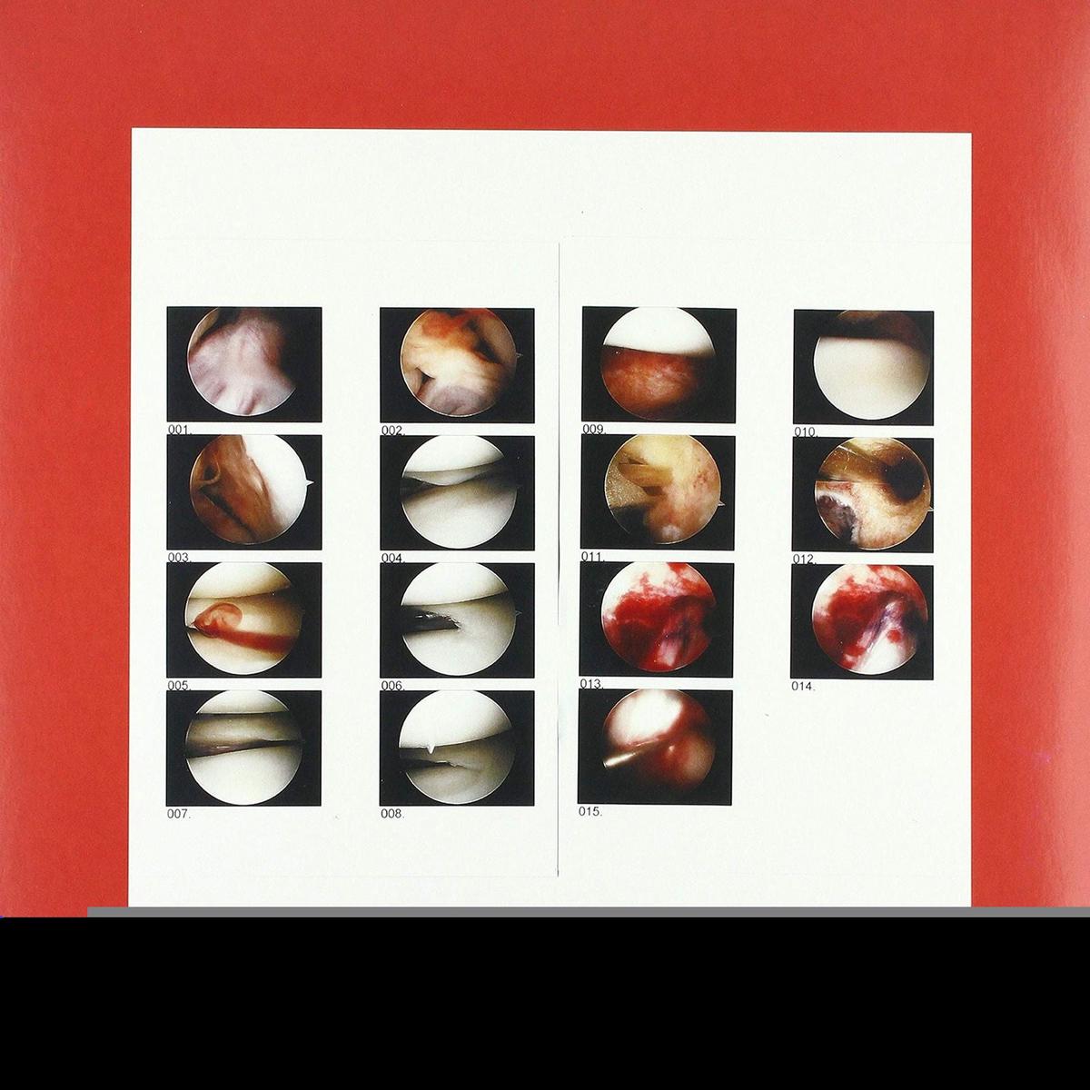 Cradle - Laughing In My Sleep (LP)