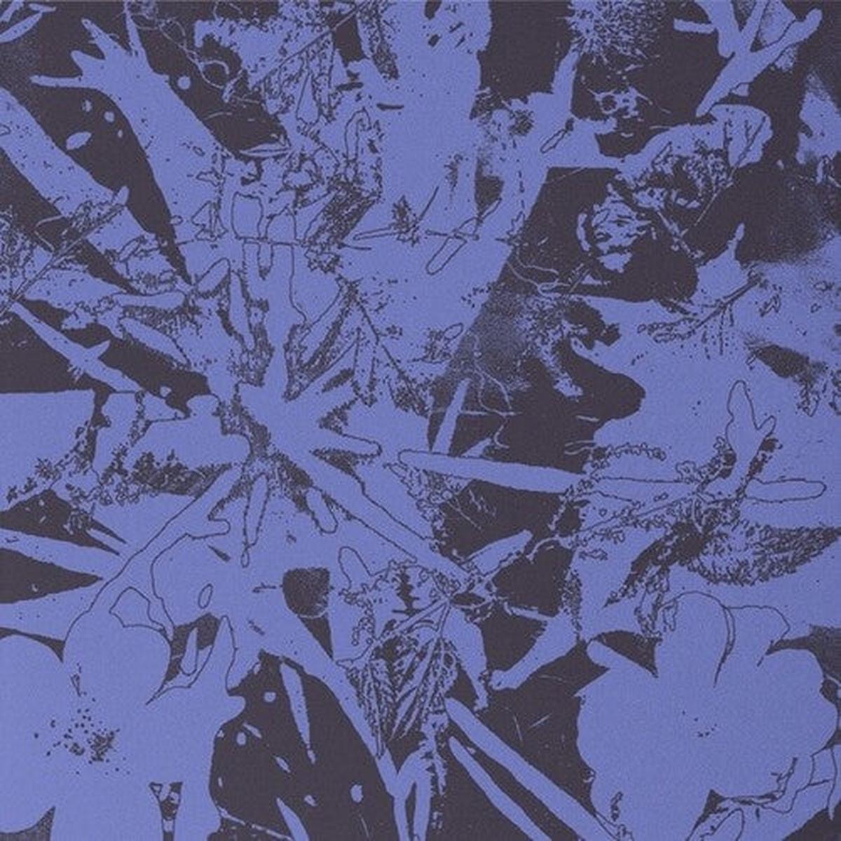 Plants Heal: Forest Dwellers - VINYL LP
