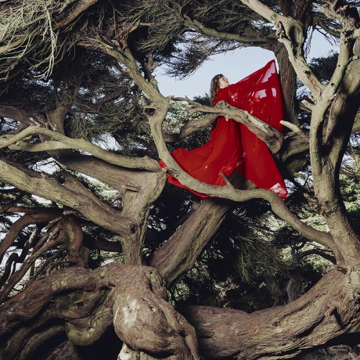 Hannah Frances - Nested In Tangles (LP)