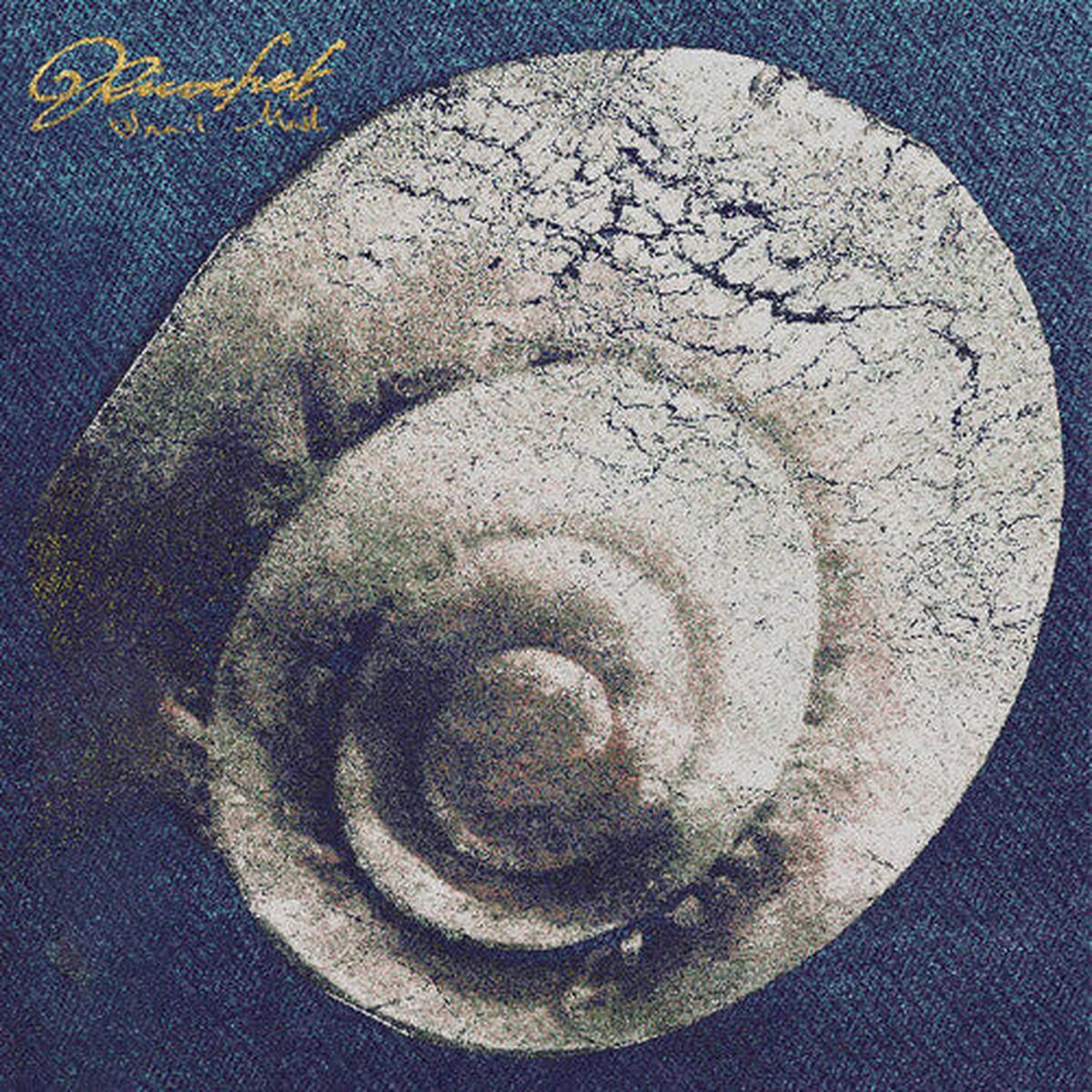 Snail Mail: Ricochet - VINYL LP