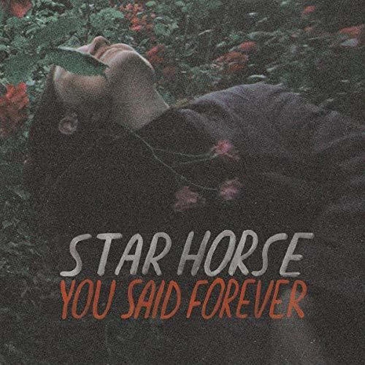 Star Horse: You Said Forever - VINYL LP