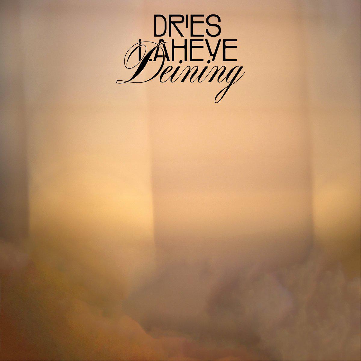 Dries Laheye - Deining (LP)