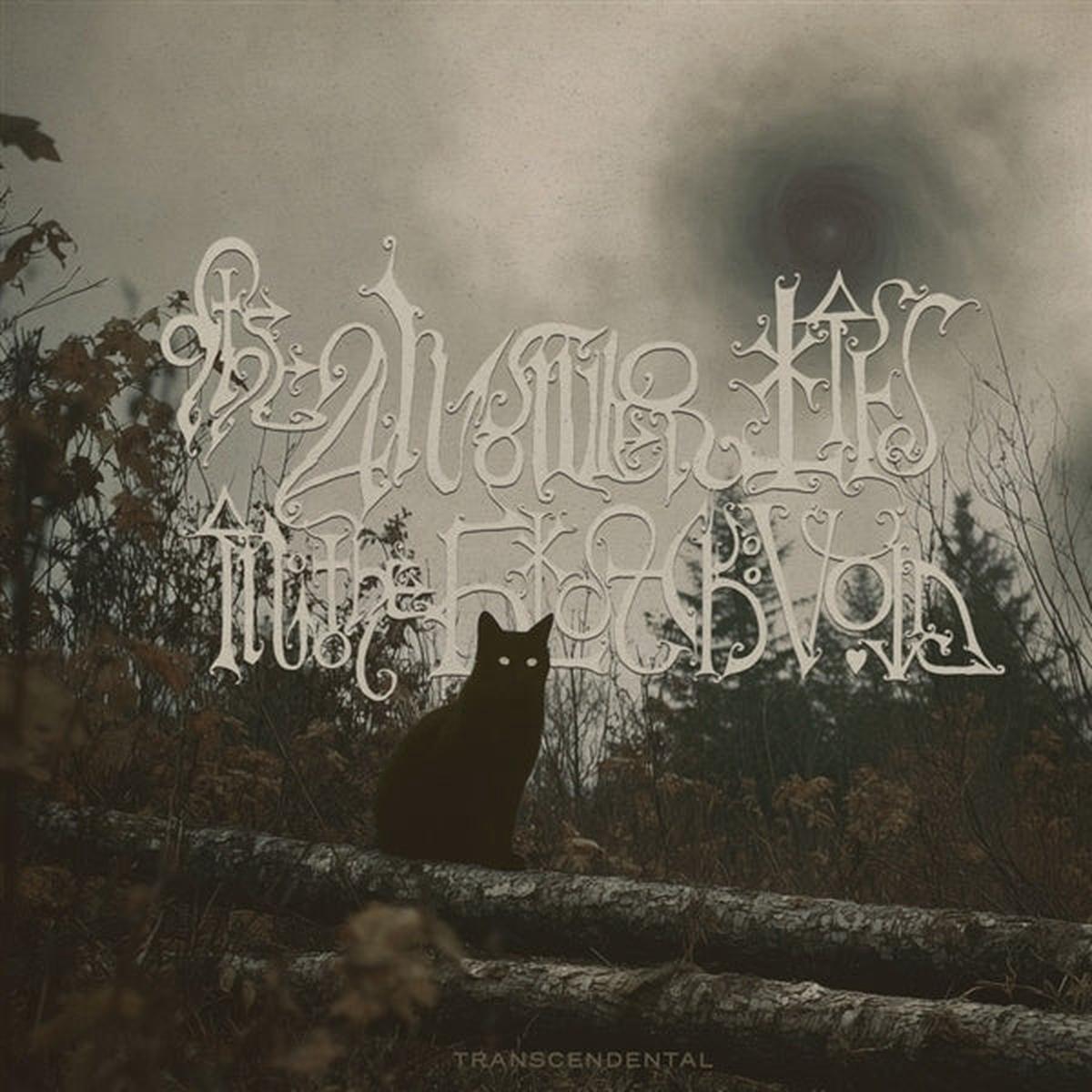 Answer Lies the Black Void - Transcendental (LP)