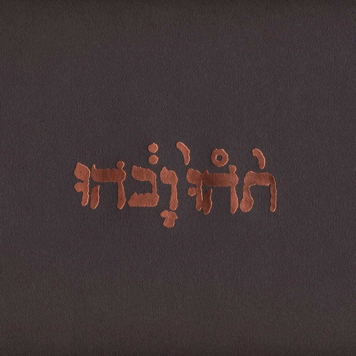 GODSPEED YOU BLACK EMPEROR! - SLOW RIOT FOR NEW ZERO - LP