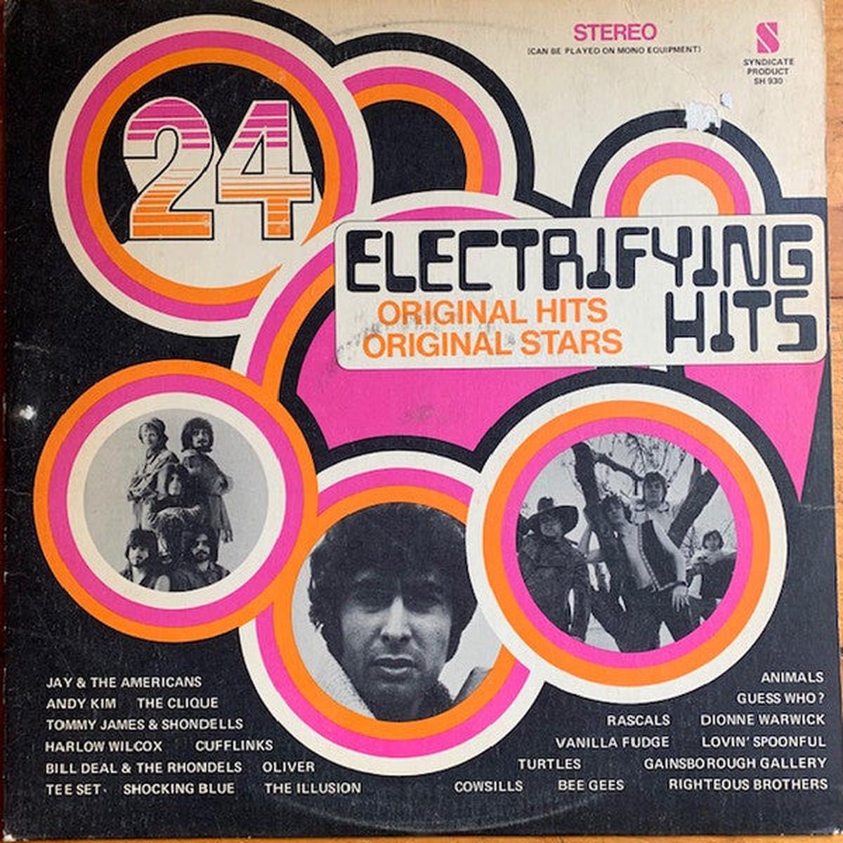 24 Electrifying Hits -1969- Vanilla Fudge, Turtles, Guess Who,  Bee Gees + (vinyl)
