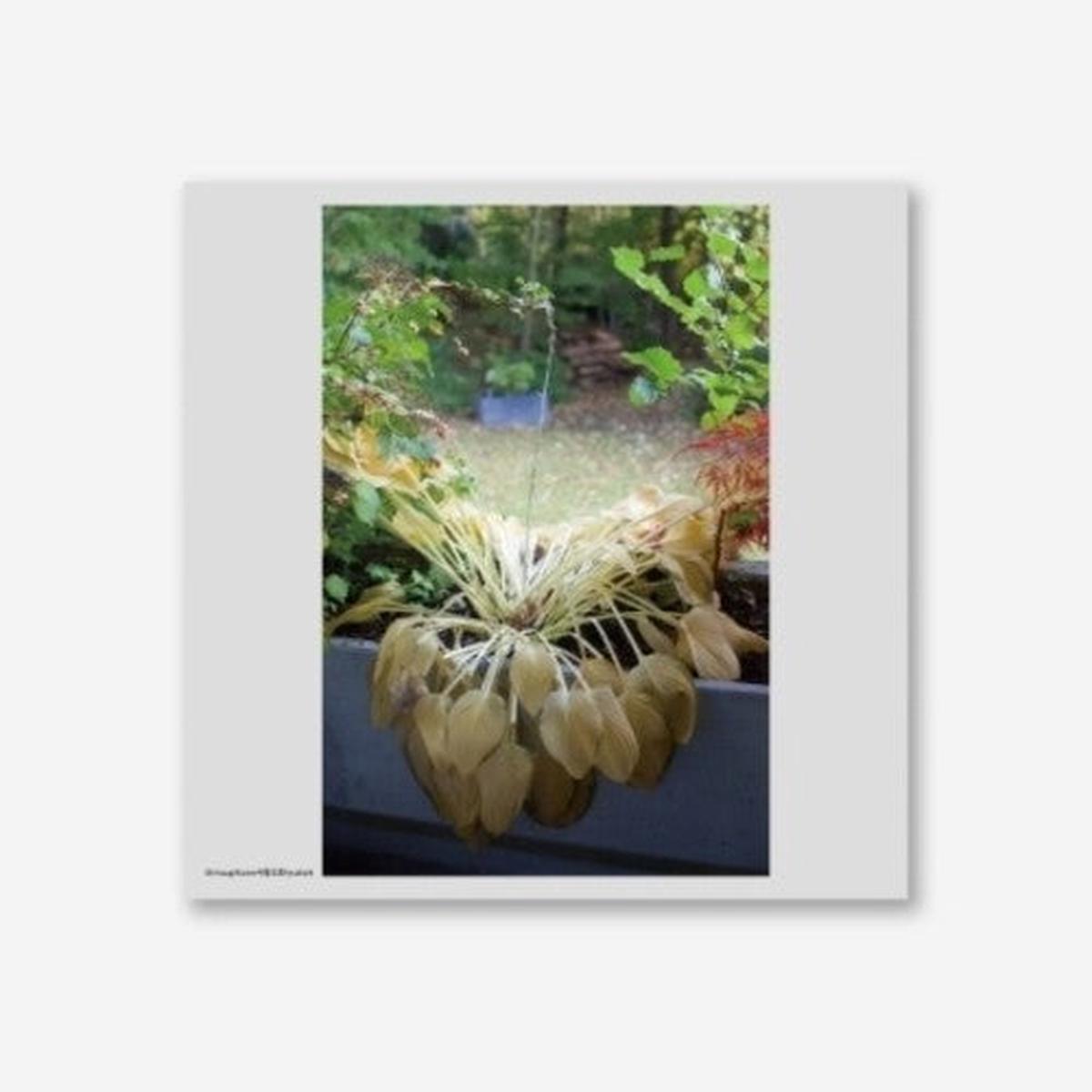Hyukoh: Through Love - VINYL LP