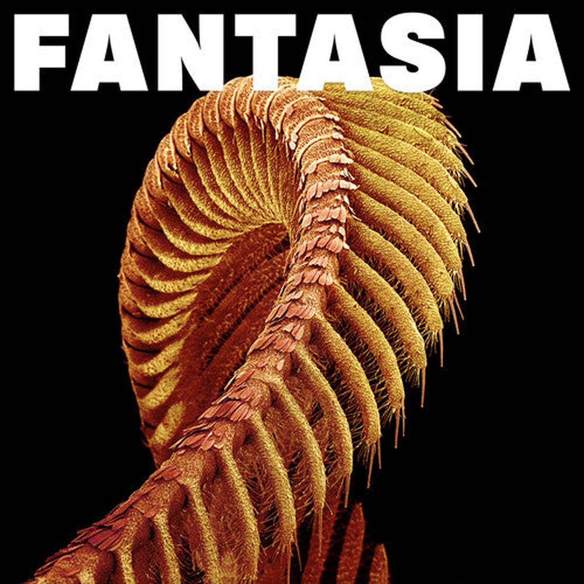 Slift: Fantasia - Yellow - VINYL LP