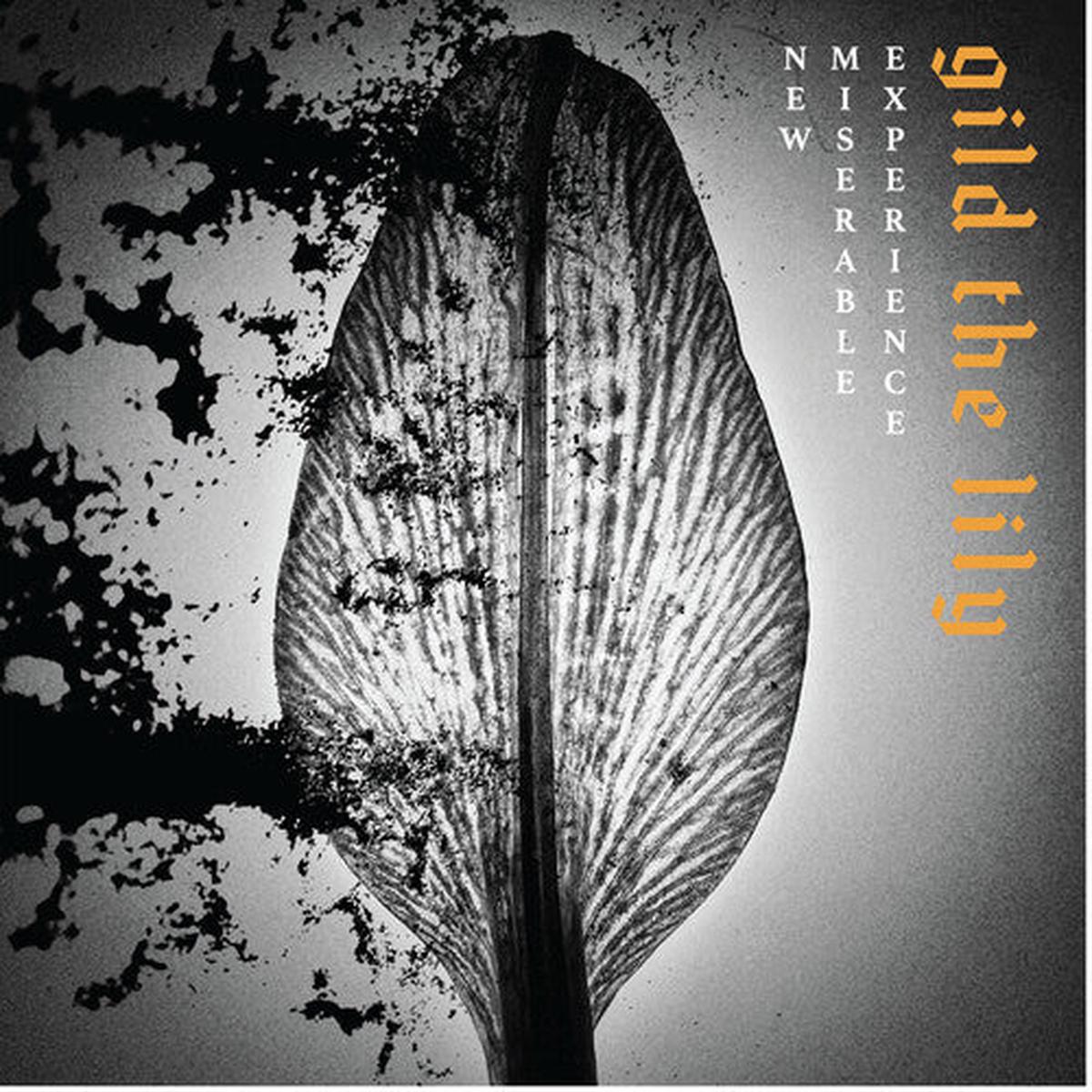 New Miserable Experience: Gild The Lily - VINYL LP