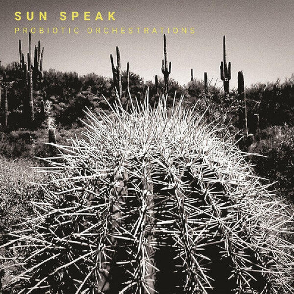Sun Speak: Probiotic Orchestrations - VINYL LP