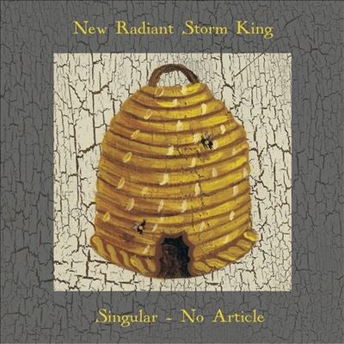 New Radiant Storm King - Singular No Article (LP)