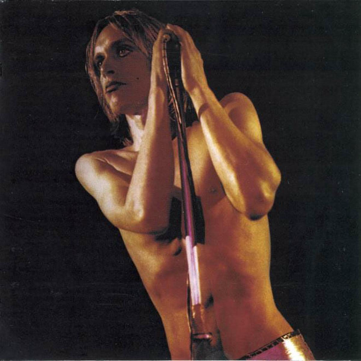 Raw Power Vinyl LP
