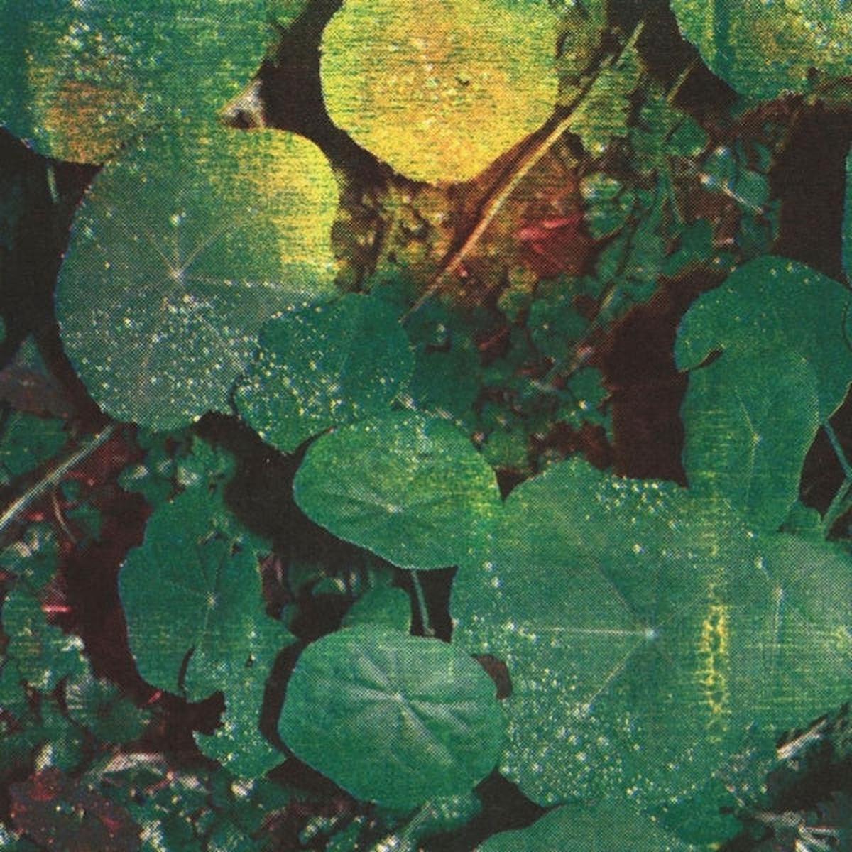 Whoman - About Honey (LP)