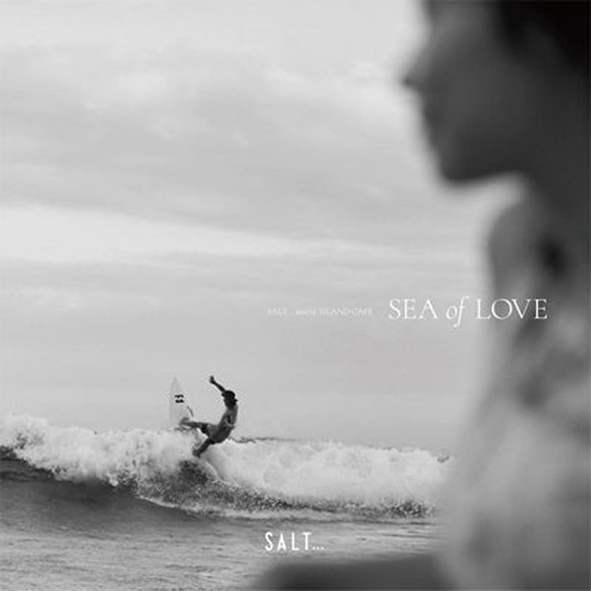 V/A - Salt... Meets Island Cafe -Sea of Love- (LP)