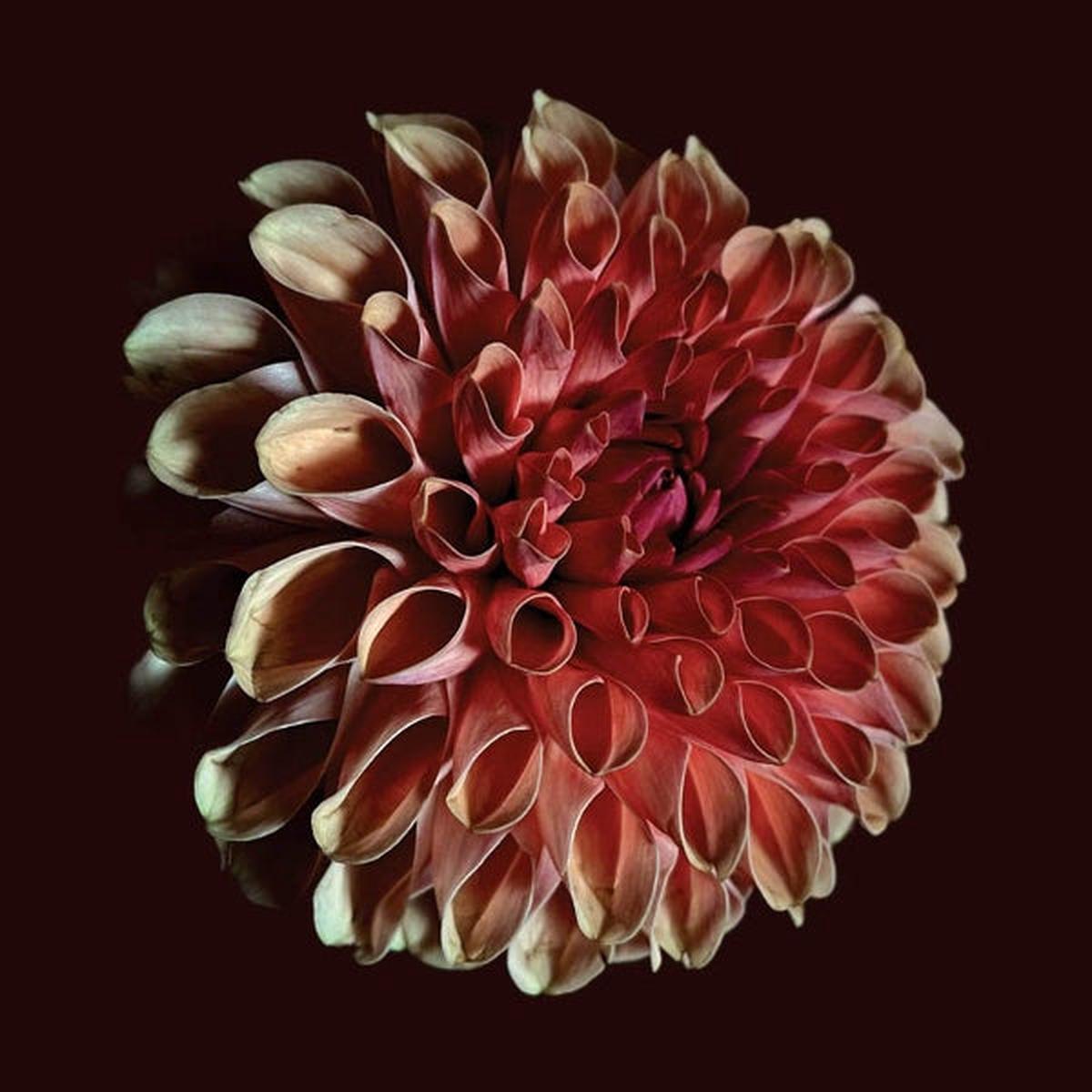 Jessica Moss - Unfolding (LP)