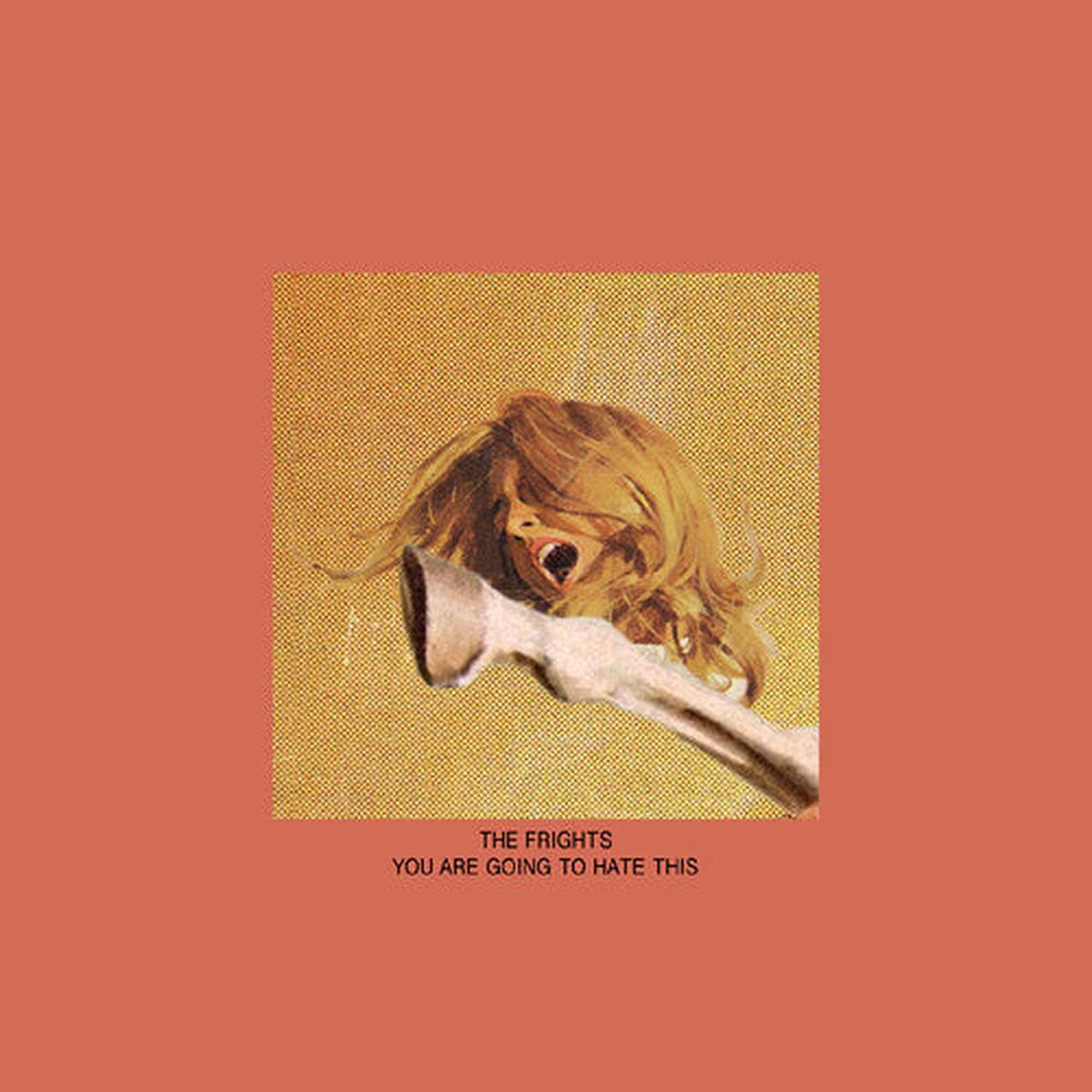 The Frights: You Are Going To Hate This - VINYL LP