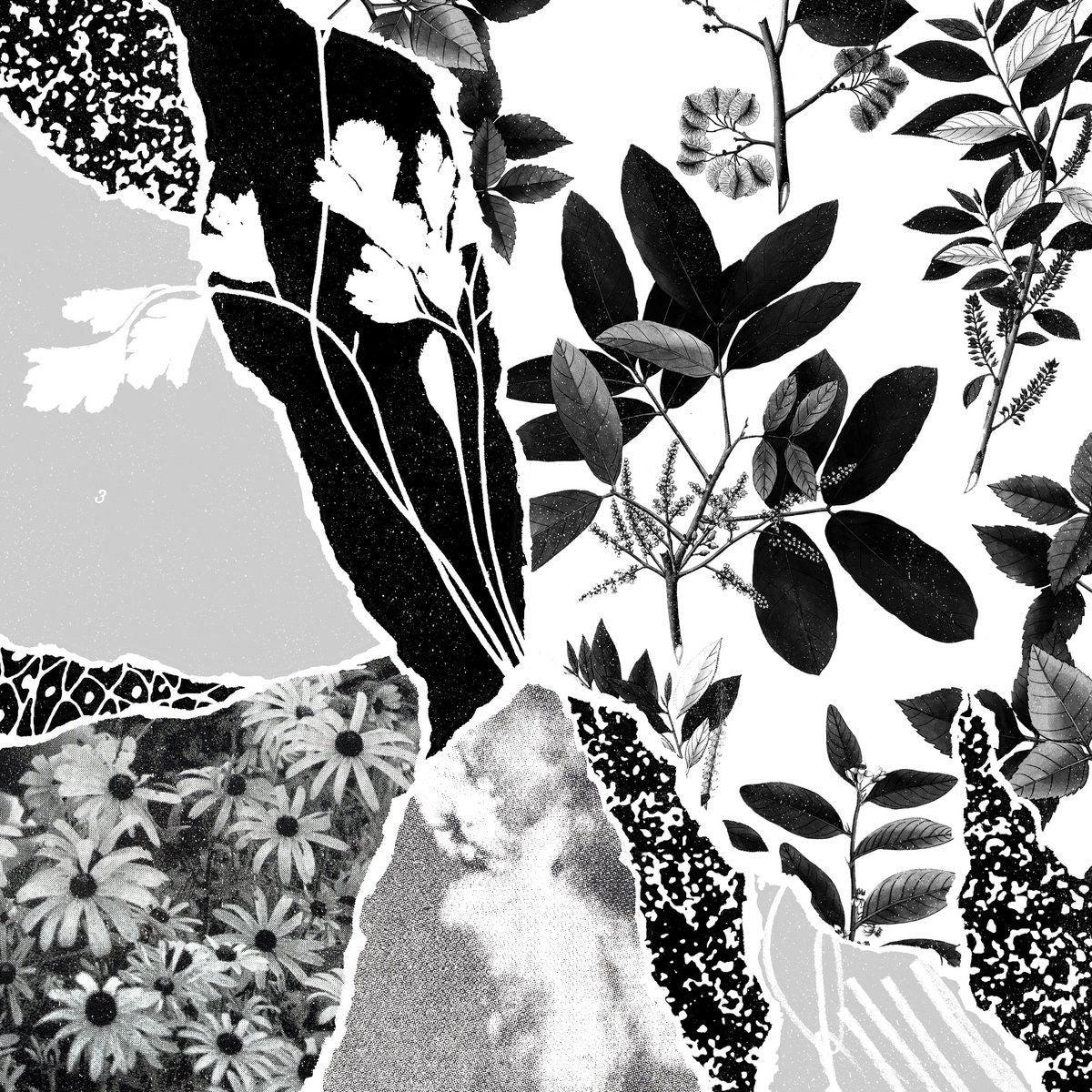 Ponctuation - Mon Herbier Du Monde Entier (LP)