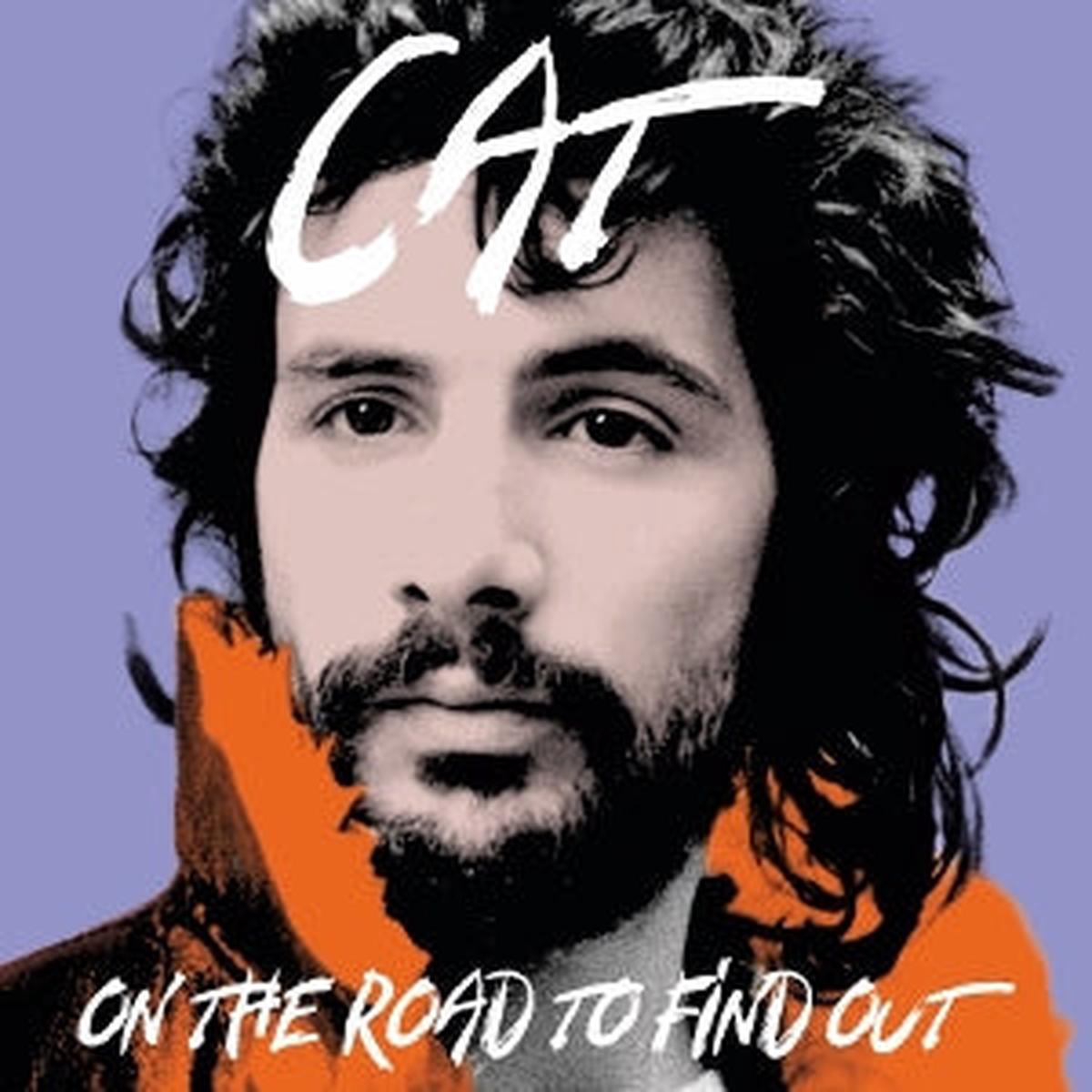 Cat Stevens - On the Road To Findout: Greatest Hits (2 LPs)
