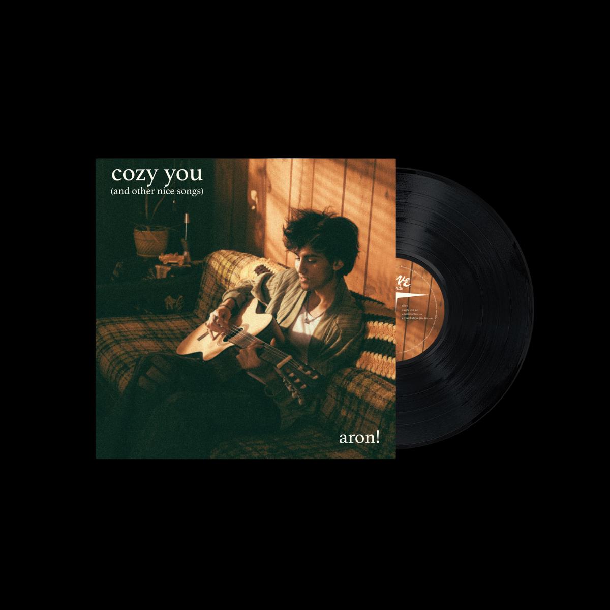 cozy you (and other nice songs) - Vinyl