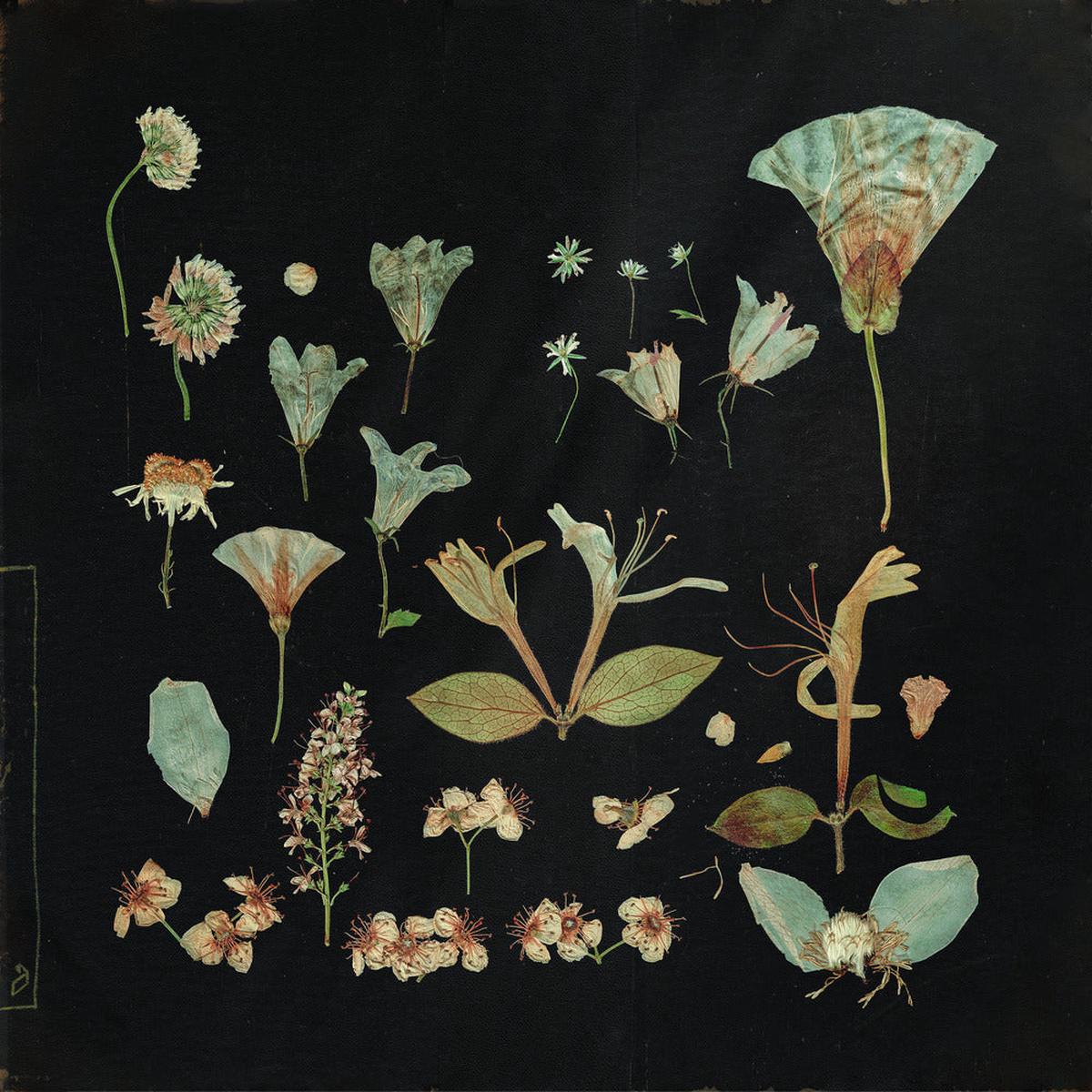 When The Quiet Comes: Cream Vinyl 2xLP