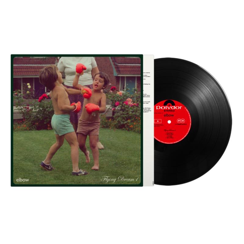 Flying Dream 1: Vinyl LP