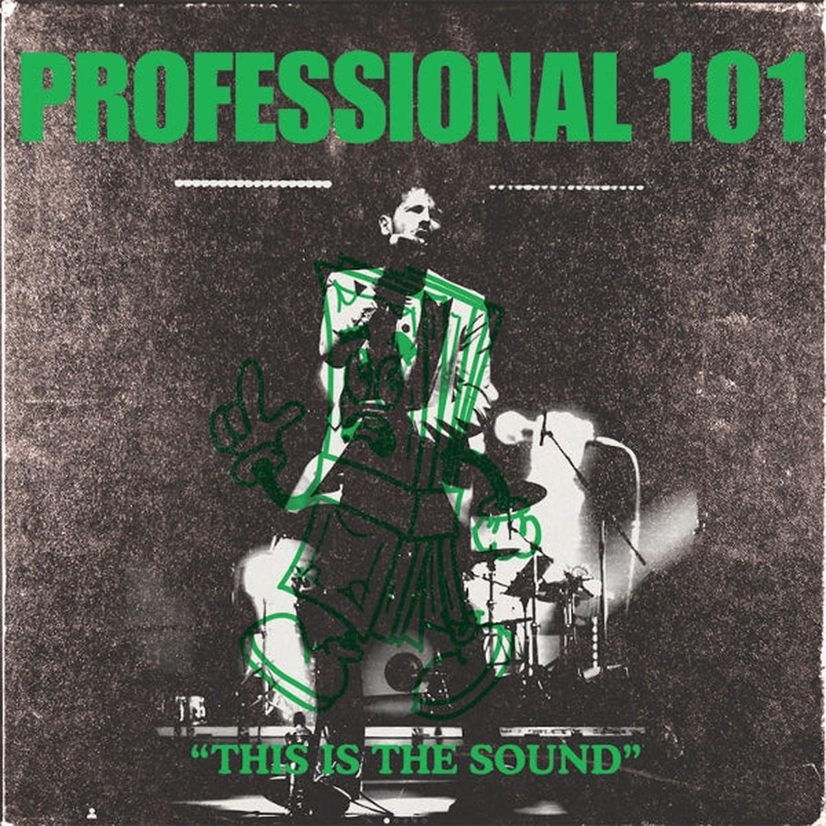 Professional 101 - This is the Sound (LP)