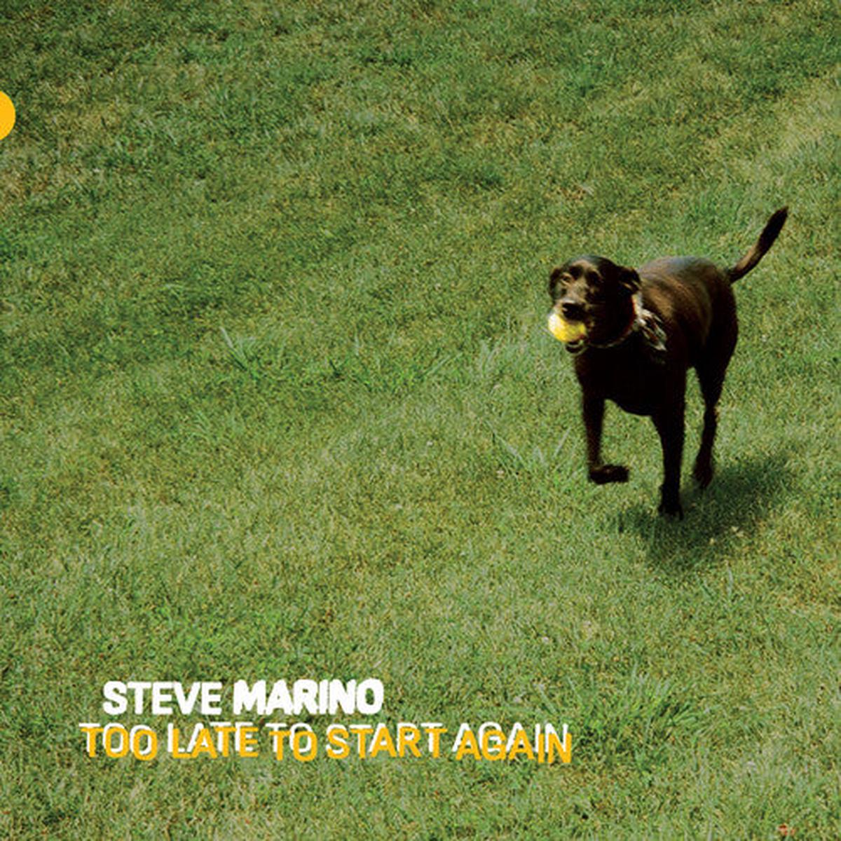 Steve Marino: Too Late to Start Again - VINYL LP
