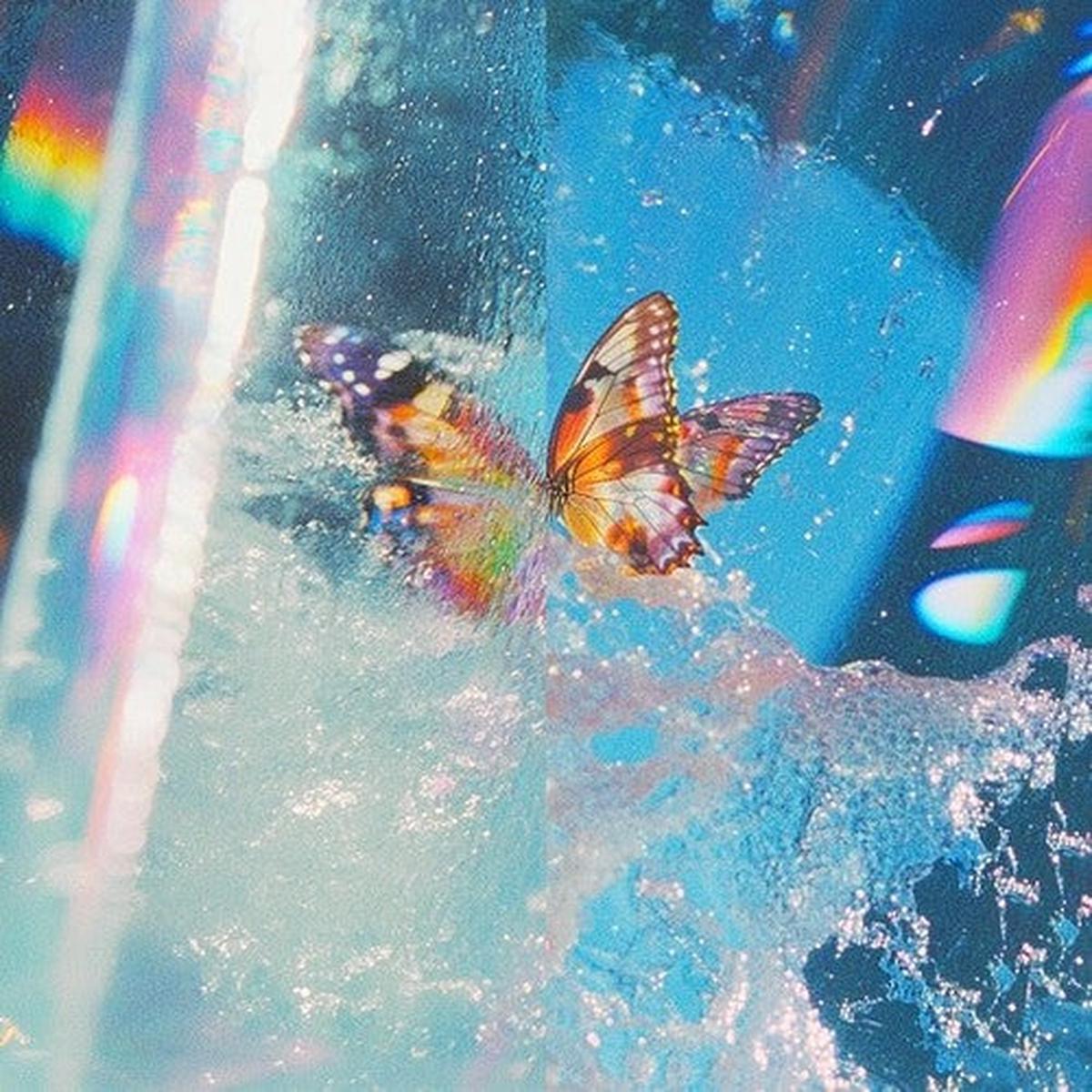 Daphni: Butterfly - VINYL LP