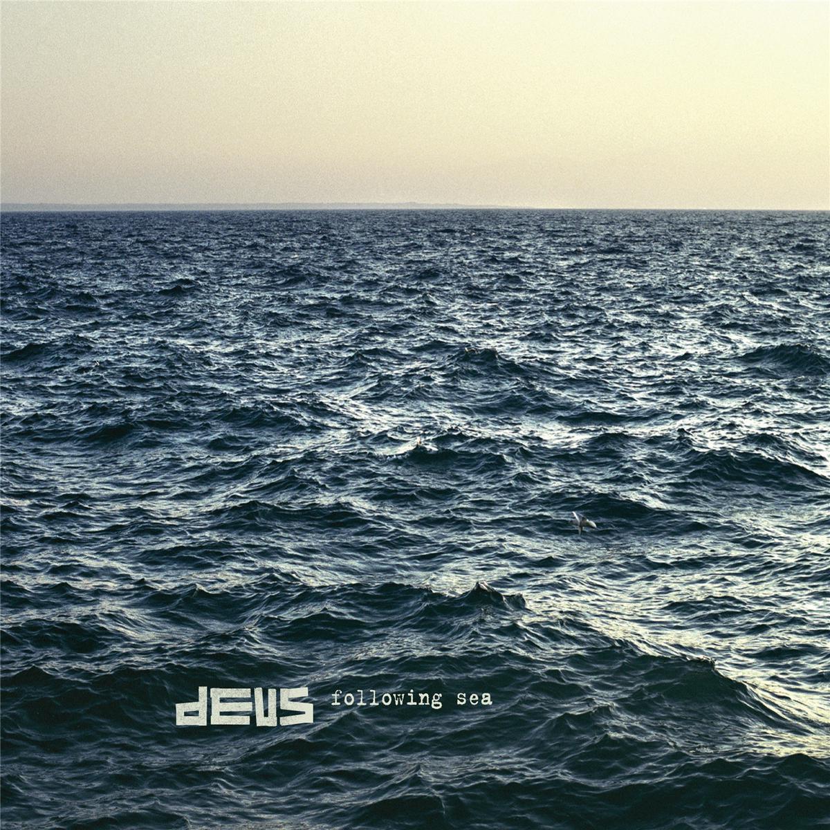 Following Sea: Vinyl LP