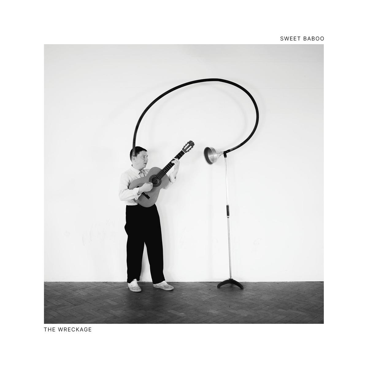 Sweet Baboo - The Wreckage (LP)