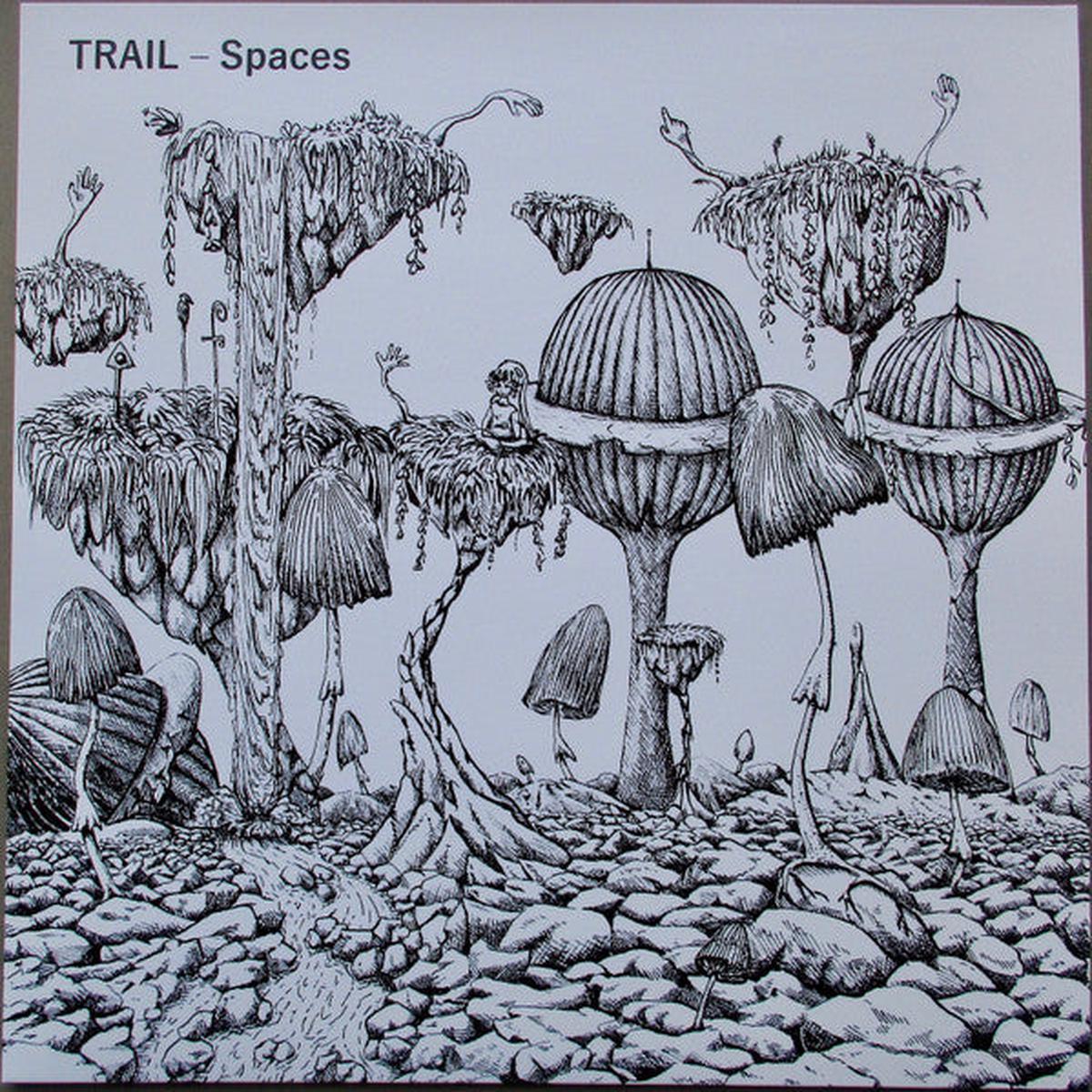 Trail  Spaces (White-Black-Splatter) LP