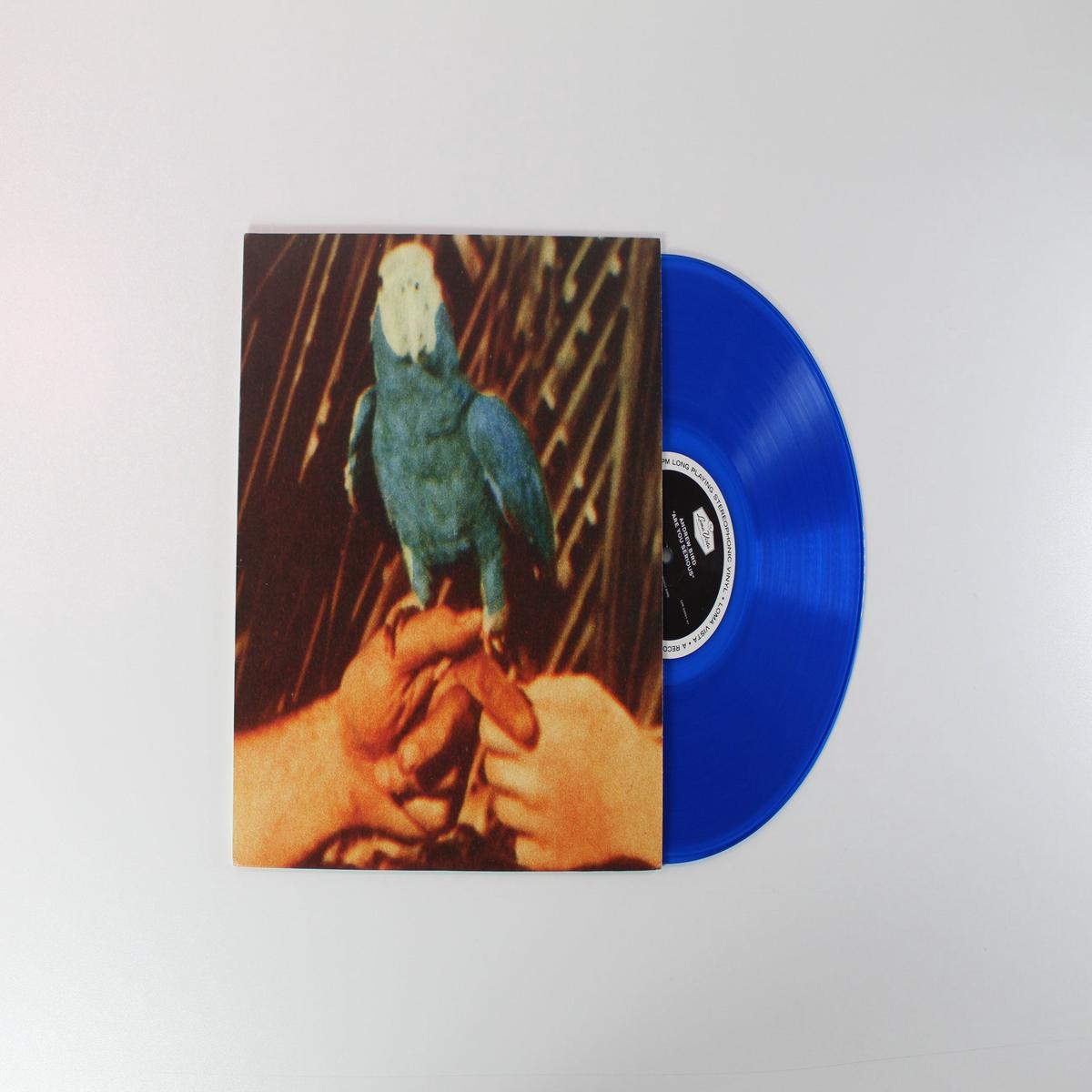 Andrew Bird - Are You Serious on Loma Vista Deluxe Edition Blue Vinyl LP With Red Vinyl 7