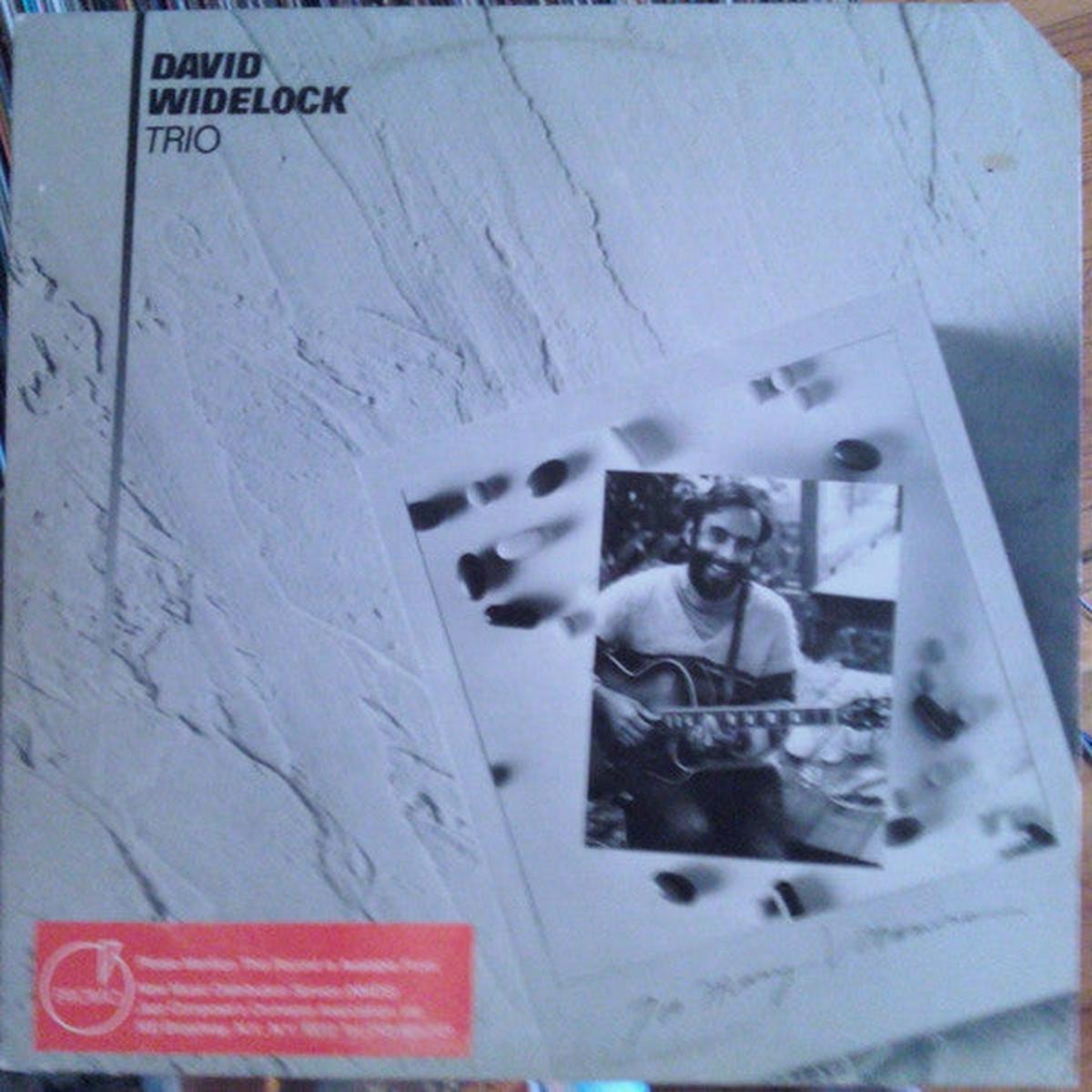 David Widelock Trio Too Many Vitamins LP
