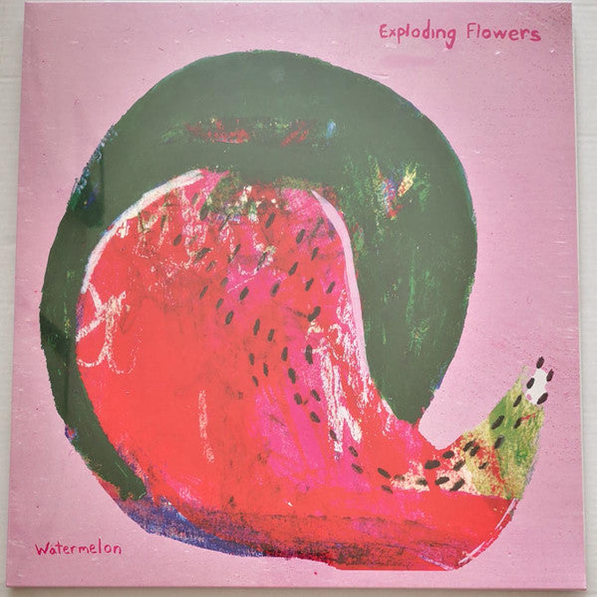 Exploding Flowers Watermelon/Peacock (White) LP
