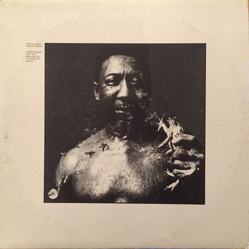 Muddy Waters - After The Rain