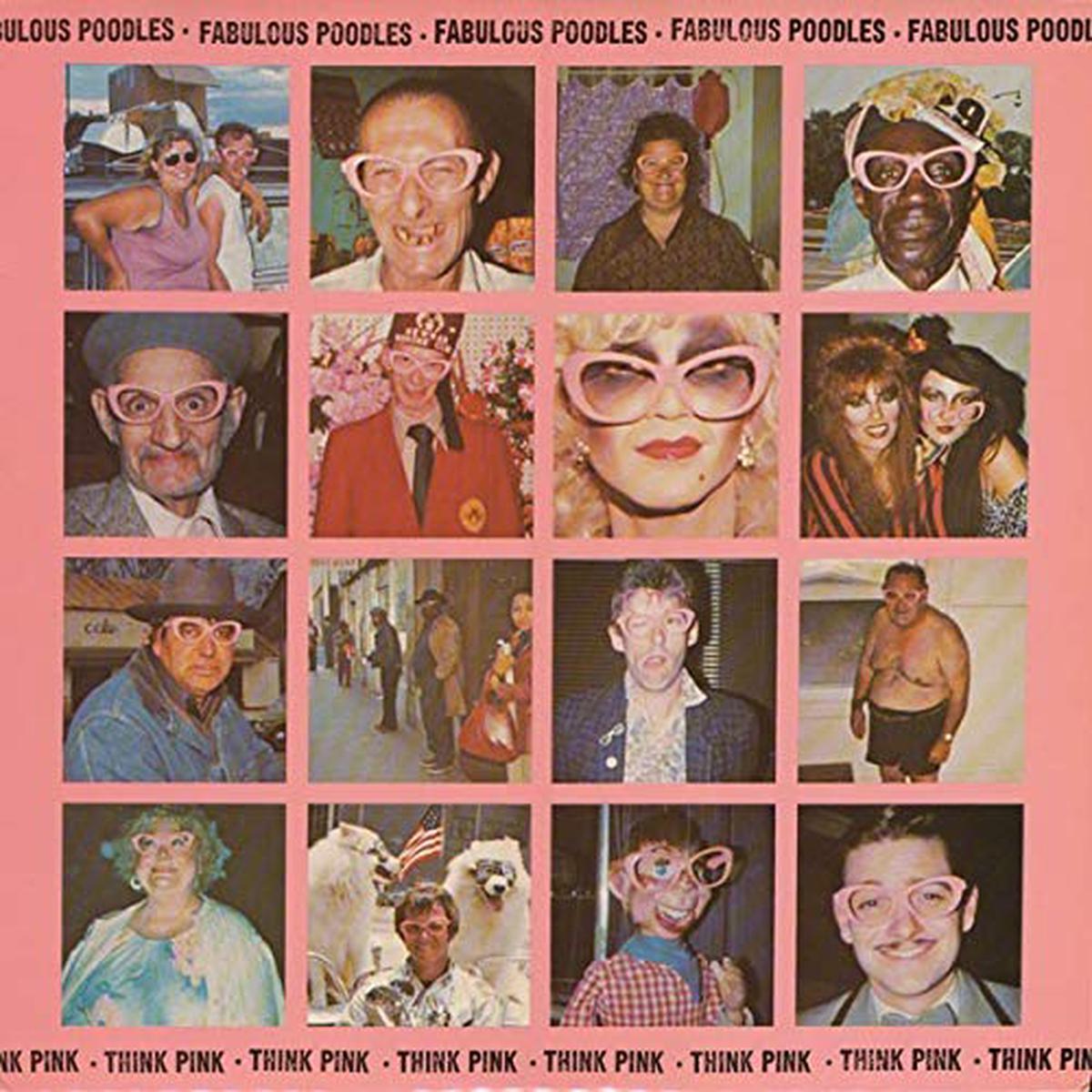 Fabulous Poodles Think Pink LP