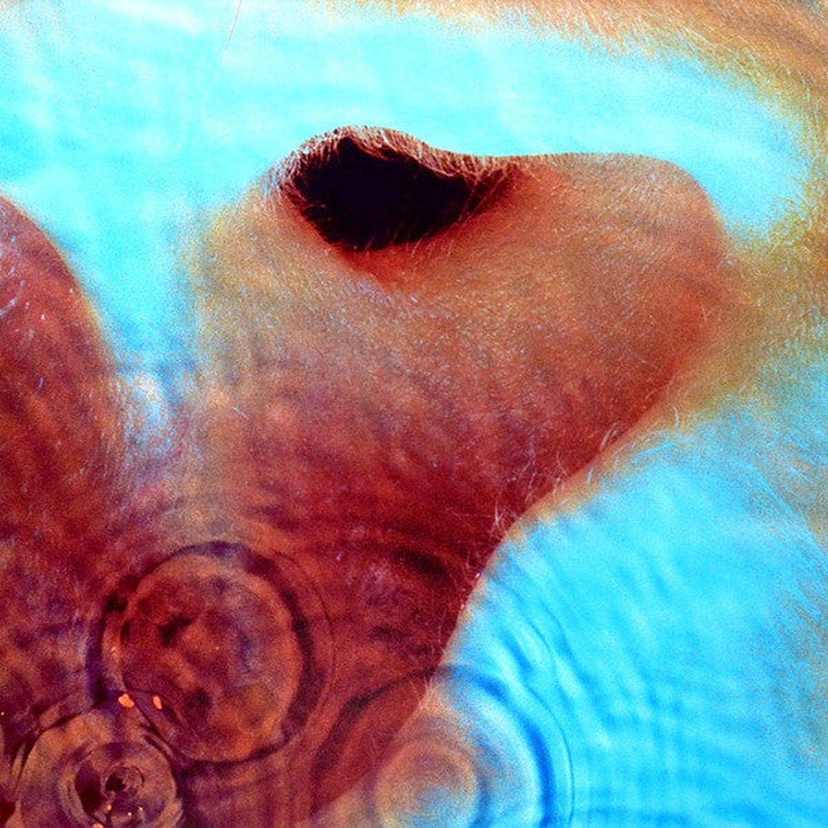 Pink Floyd - Meddle (2016 Remaster) LP