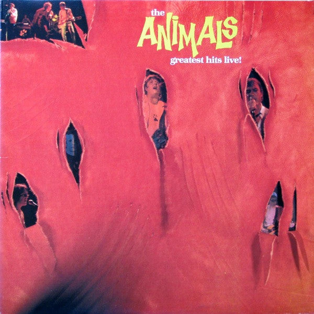 The Animals  Greatest Hits Live! LP