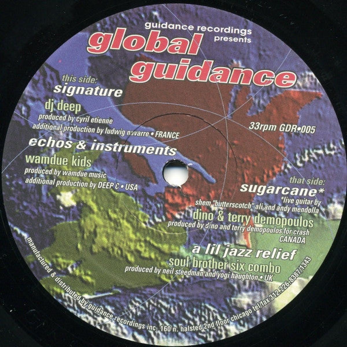 Various - Global Guidance