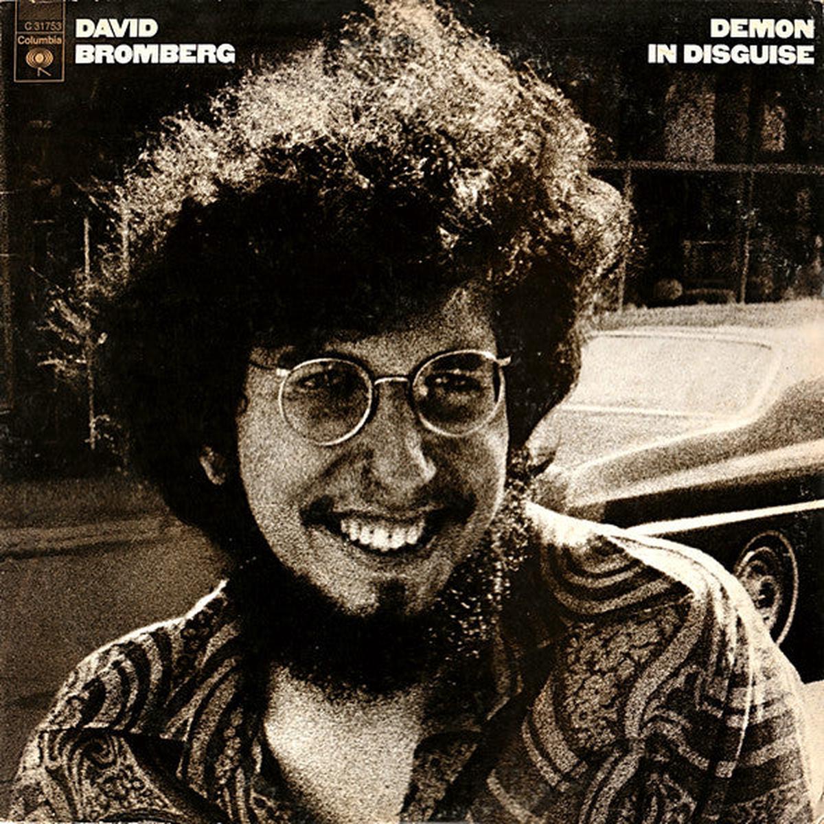 David Bromberg - Demon in Disguise LP